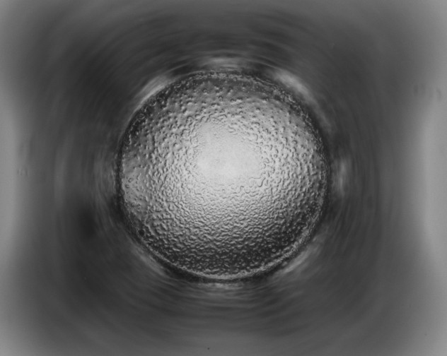 X0000087321409200704201102