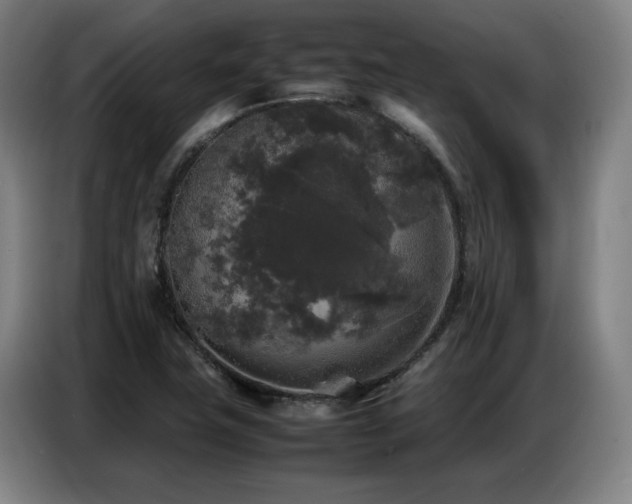 X0000087321411200704201102