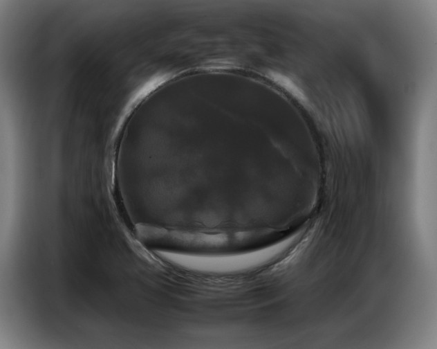 X0000087321413200704201102