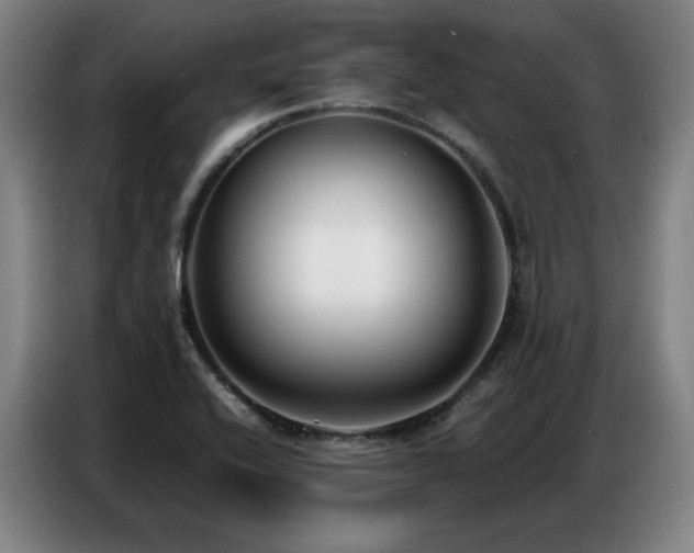 X0000087321416200704201102