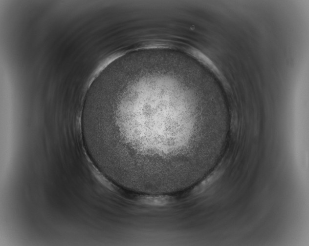 X0000087321417200704201102