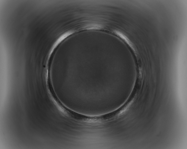 X0000087321418200704201102