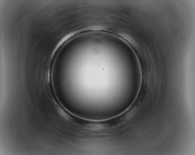 X0000087321420200704201102