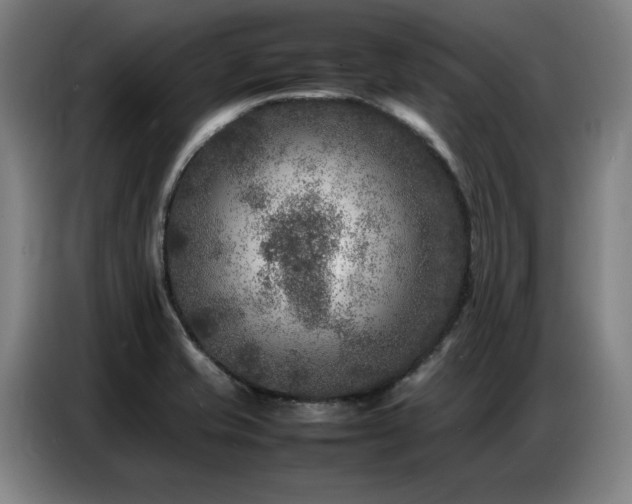 X0000087321421200704201102
