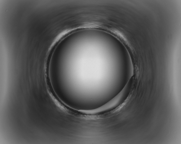 X0000087321422200704201102