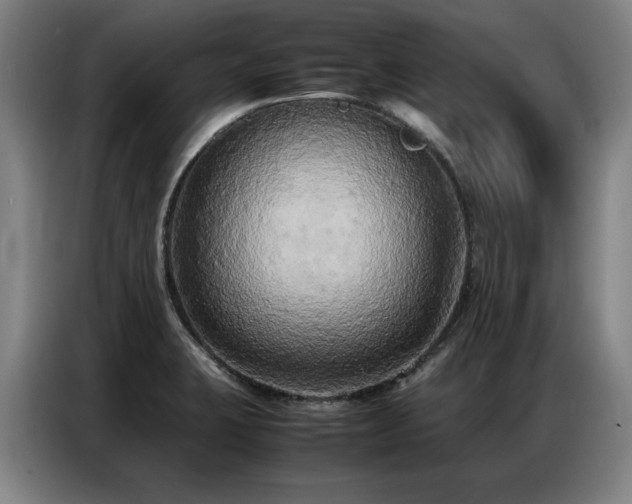 X0000087321423200704201102