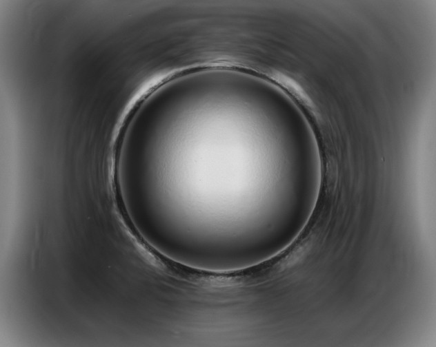 X0000087321424200704201102