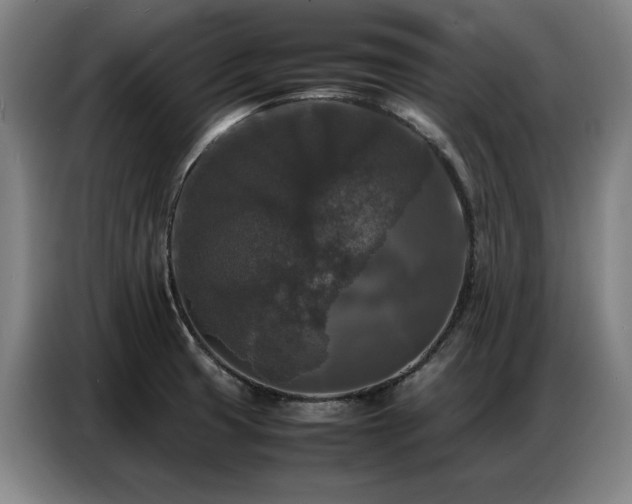 X0000087321425200704201102