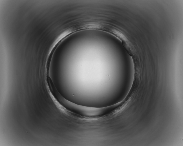 X0000087321426200704201102