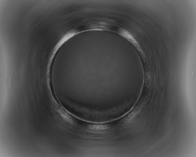 X0000087321427200704201102
