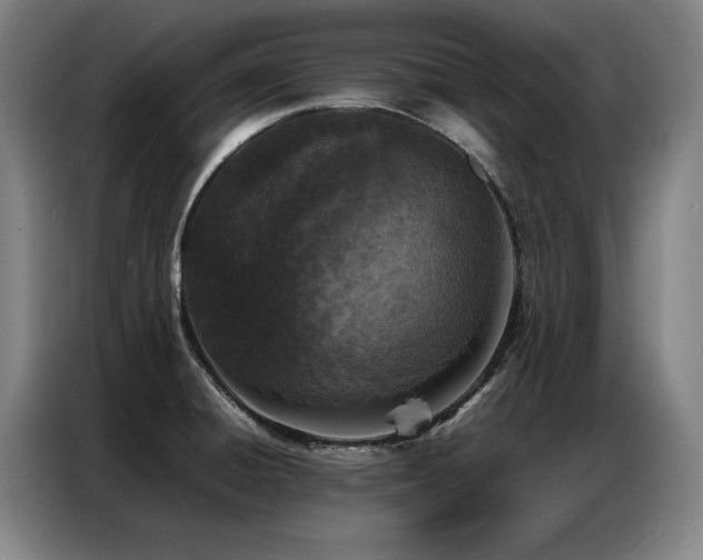 X0000087321428200704201102