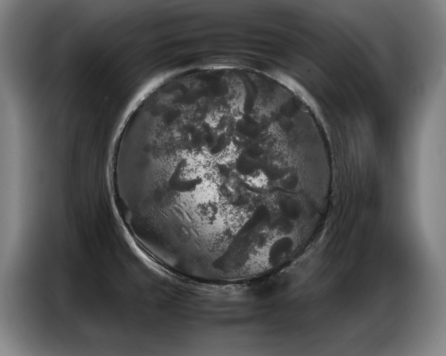 X0000087321429200704201102