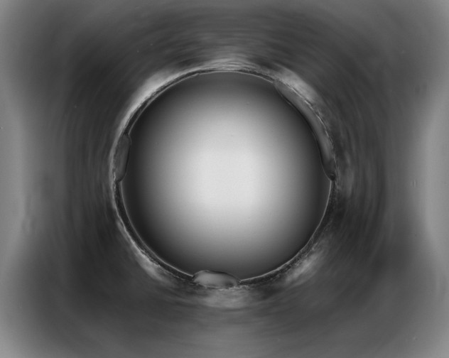 X0000087321430200704201102
