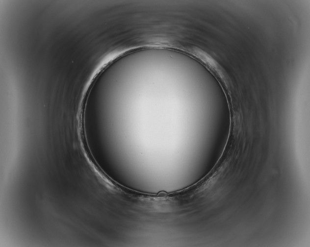 X0000087321432200704201102