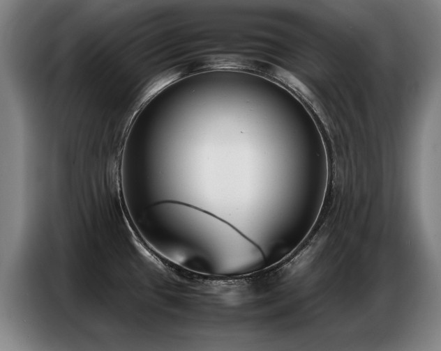 X0000087321433200704201102