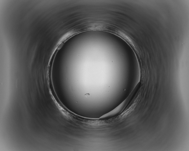 X0000087321434200704201102