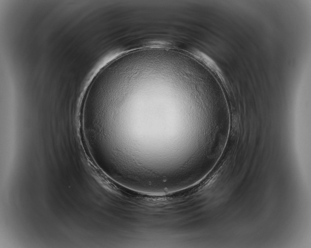 X0000087321435200704201102