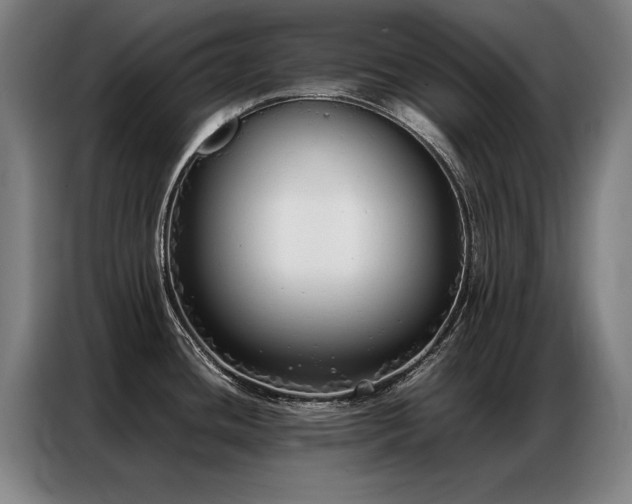 X0000087321436200704201102