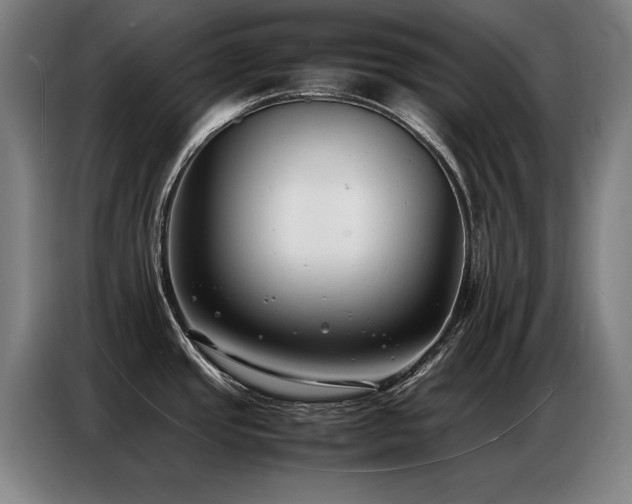 X0000087321437200704201102