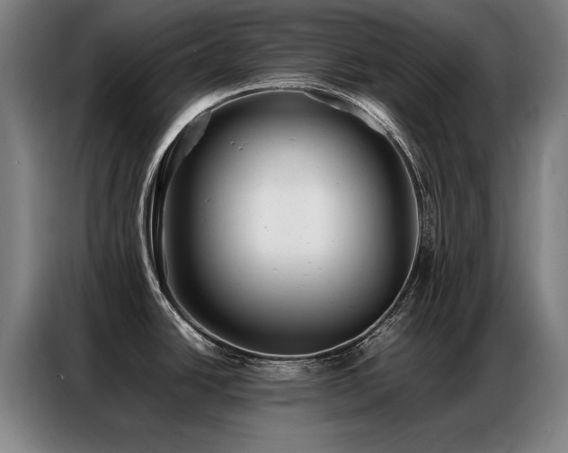 X0000087321438200704201102