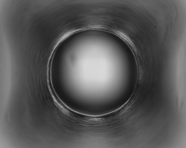 X0000087321439200704201102