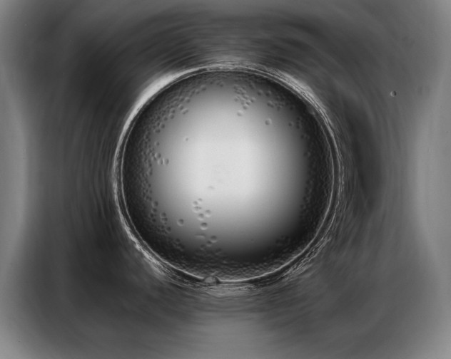 X0000087321440200704201102
