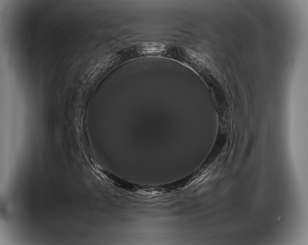 X0000087321441200704201102
