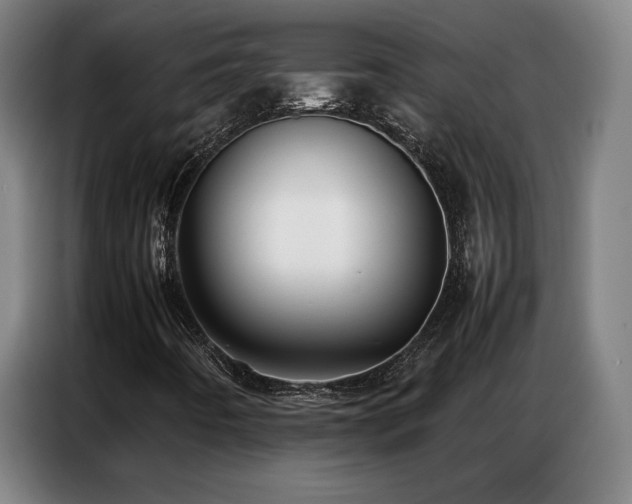 X0000087321442200704201102