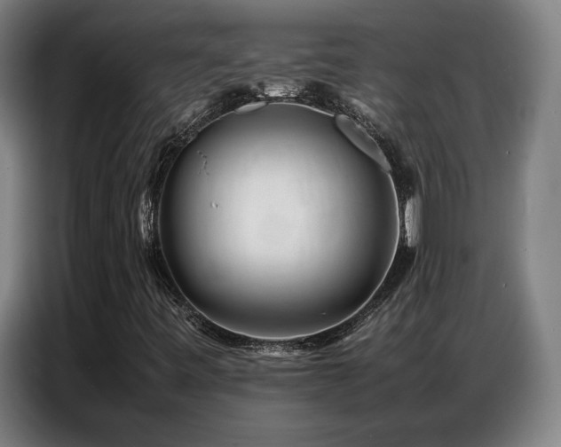 X0000087321443200704201102