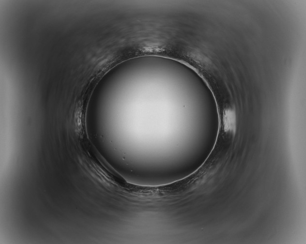X0000087321444200704201102