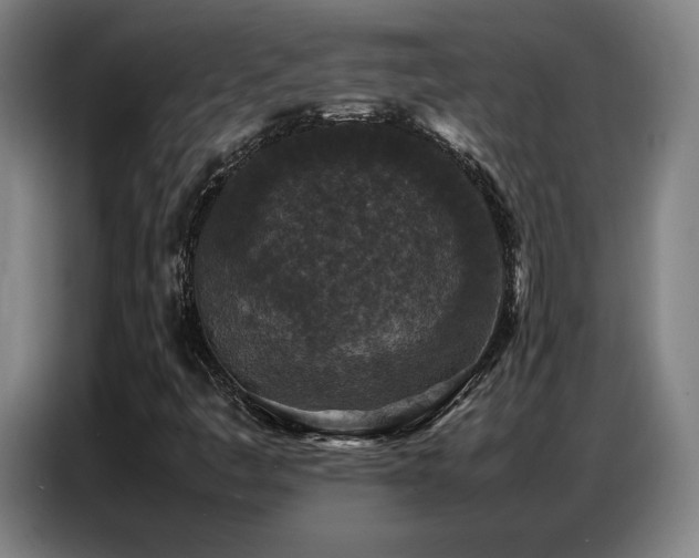 X0000087321445200704201102