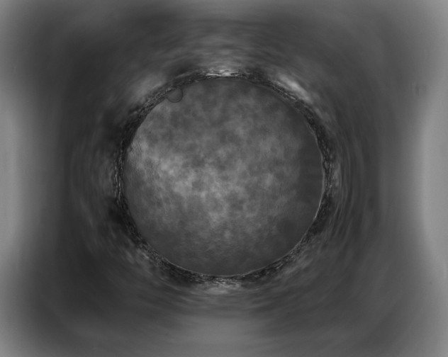 X0000087321446200704201102