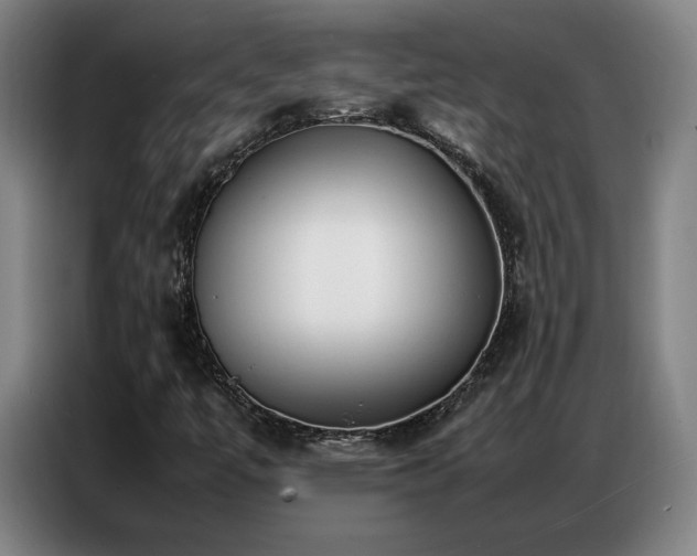 X0000087321447200704201102