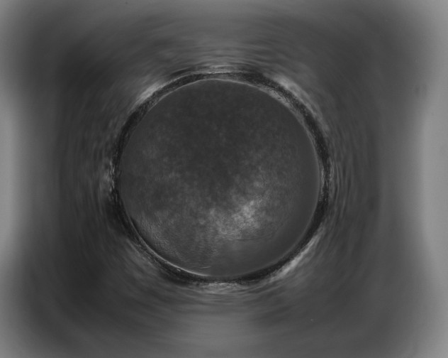 X0000087321449200704201102