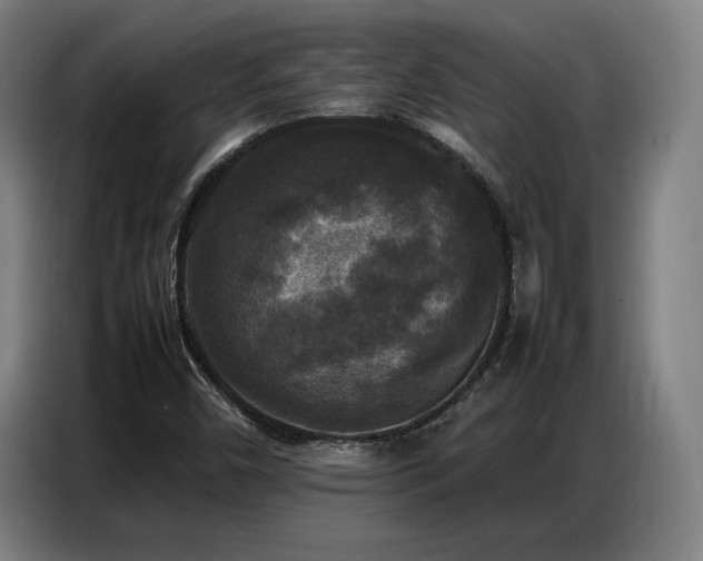 X0000087321450200704201102