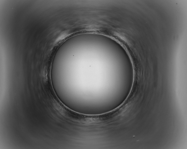 X0000087321451200704201102