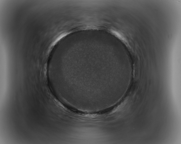 X0000087321453200704201102