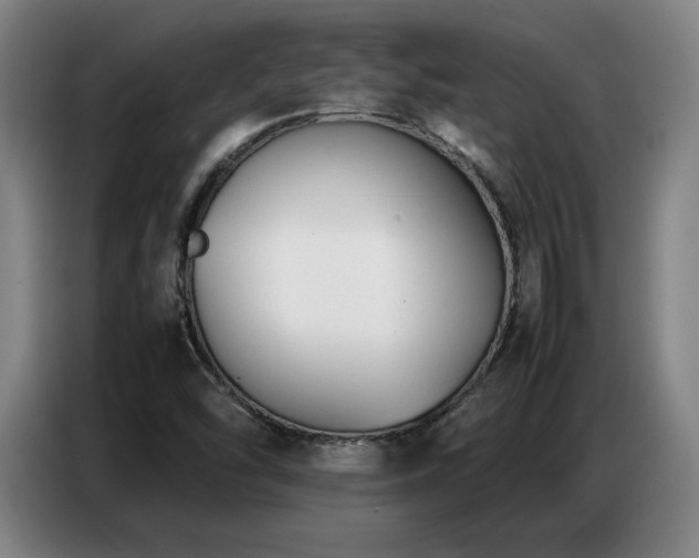 X0000087321454200704201102