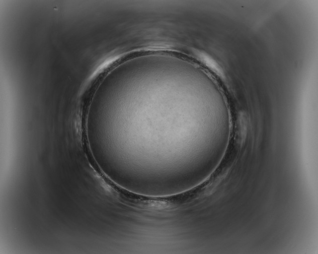 X0000087321456200704201102
