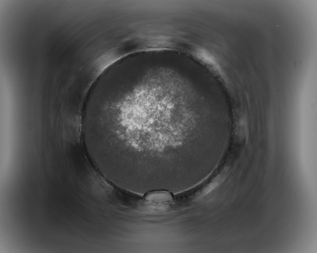 X0000087321457200704201102