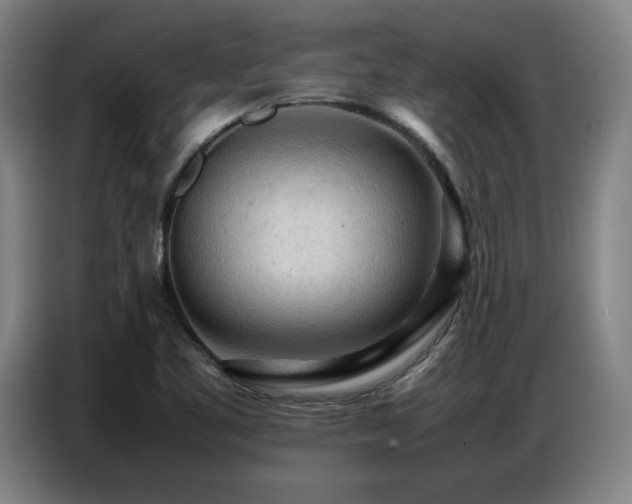 X0000087321461200704201102