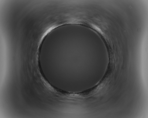 X0000087321463200704201102