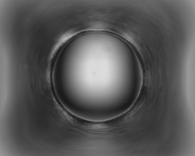 X0000087321464200704201102