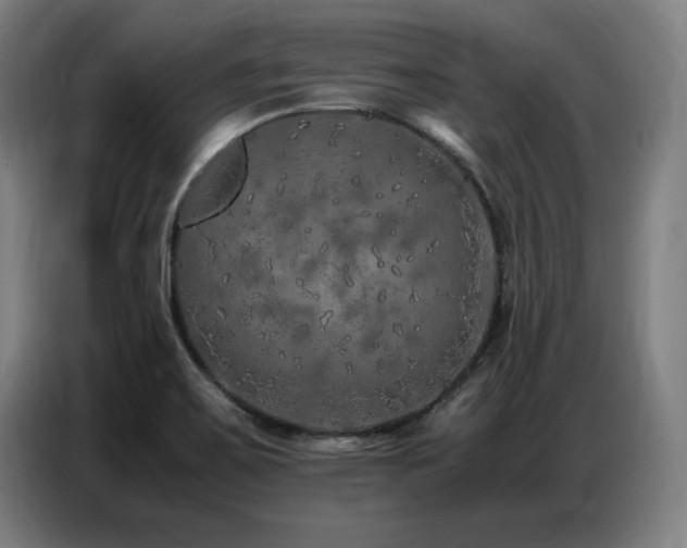 X0000087321467200704201102