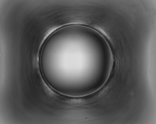 X0000087321468200704201102