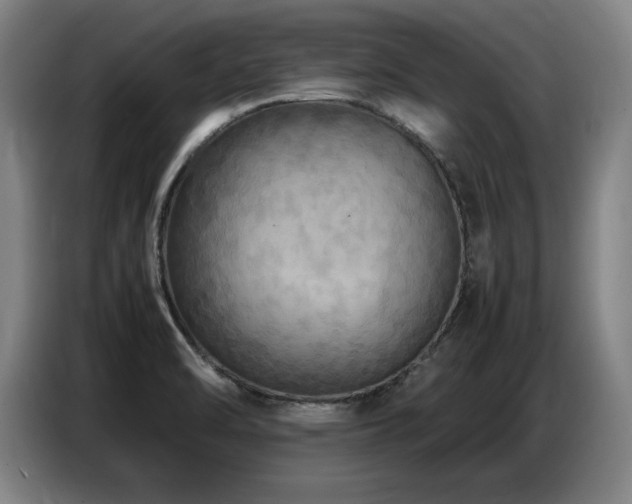 X0000087321470200704201102