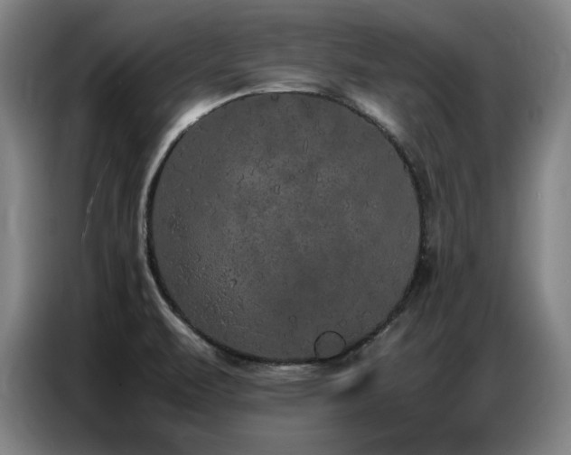 X0000087321471200704201102