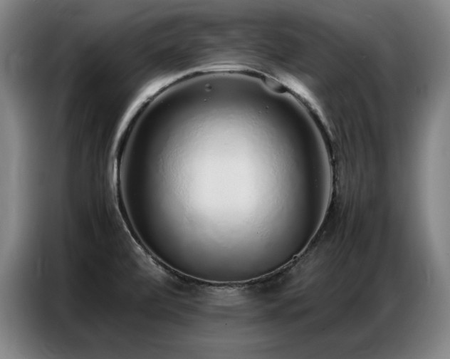 X0000087321472200704201102