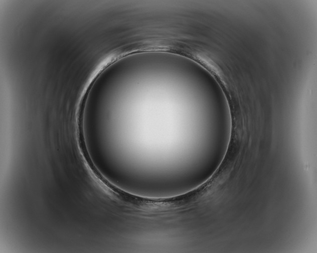 X0000087321475200704201101