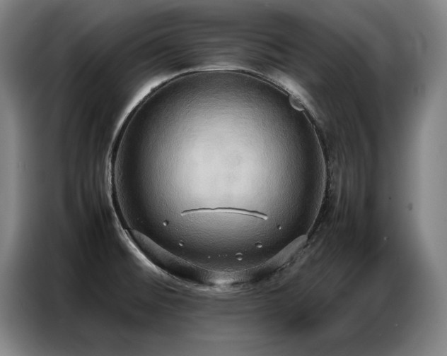 X0000087321476200704201101